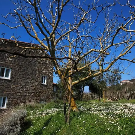 Agriturismo Le Tore