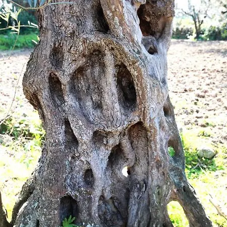 Agriturismo Le Tore *