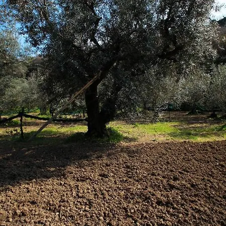 Agriturismo Le Tore *